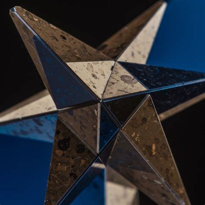 Multifaceted Star And Empowering Role Model